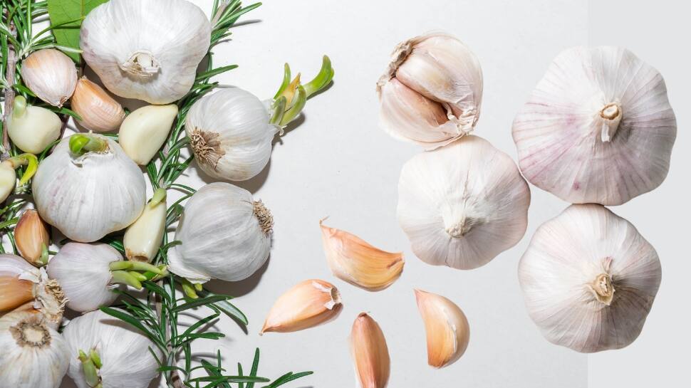 Garlic