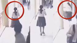 சாதாரணமாக நடந்து சென்று..திடீரென மாடியில் இருந்து குதித்த மாணவி! பதற வைக்கும் சிசிடிவி காட்சி