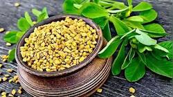 வழுக்கைத் தலையில் மீண்டும் முடி வளரனுமா இந்த சிறிய விதை ஒன்று போதும்