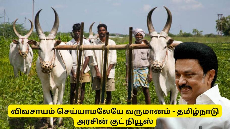 விவசாயம் செய்யாமலேயே வருமானம்! தமிழ்நாடு அரசின் மிகப்பெரிய குட் நியூஸ்
