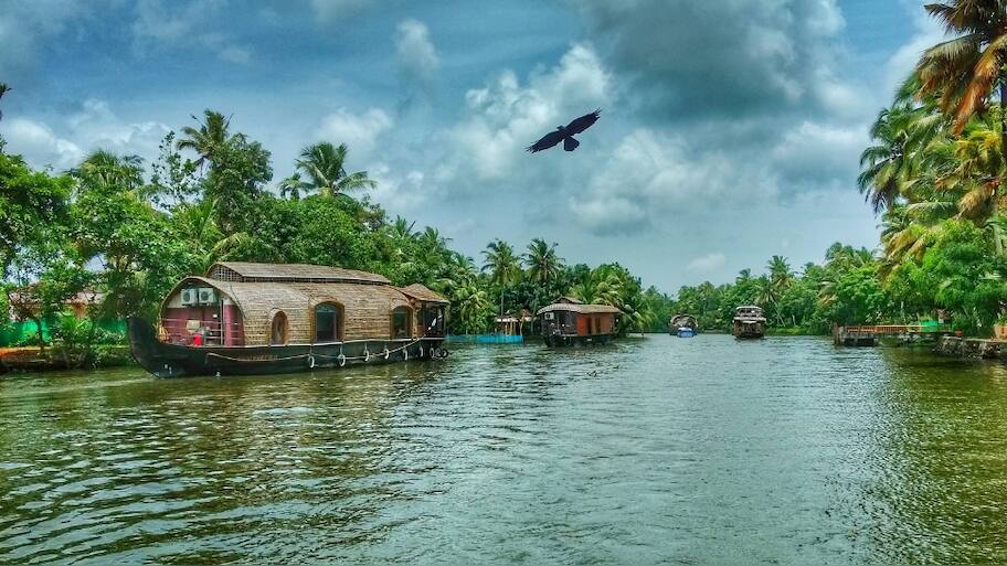 ஆலப்புழா முதல் வயநாடு வரை... கேரளாவின் இயற்கை அழகு கொட்டிக் கிடக்கும் டாப் 5 இடங்கள்