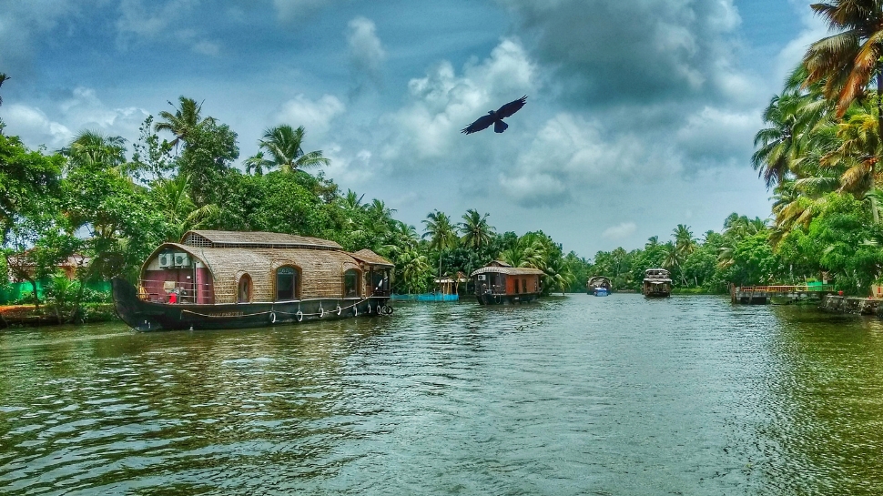 ஆலப்புழா முதல் வயநாடு வரை... கேரளாவின் இயற்கை அழகு கொட்டிக் கிடக்கும் டாப் 5 இடங்கள் ஆலப்புழா முதல் வயநாடு வரை... கேரளாவின் இயற்கை அழகு கொட்டிக் கிடக்கும் டாப் 5 இடங்கள்