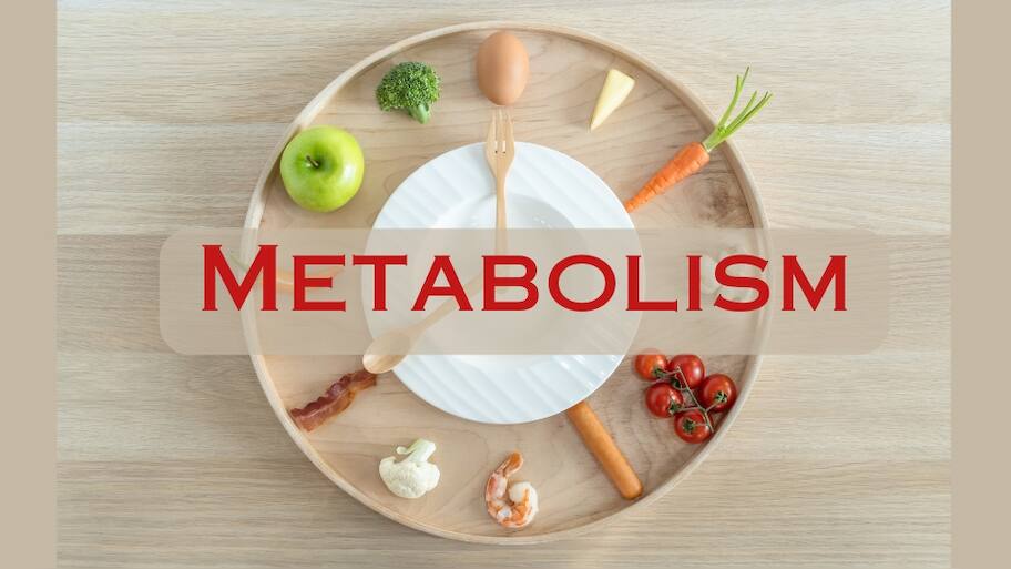 Weight Loss Tips: வெறும் 3 நிமிடங்கள் இதை செய்தால் போதும்... வளர்சிதை மாற்றம் 350 மடங்கு அதிகரிக்கும்