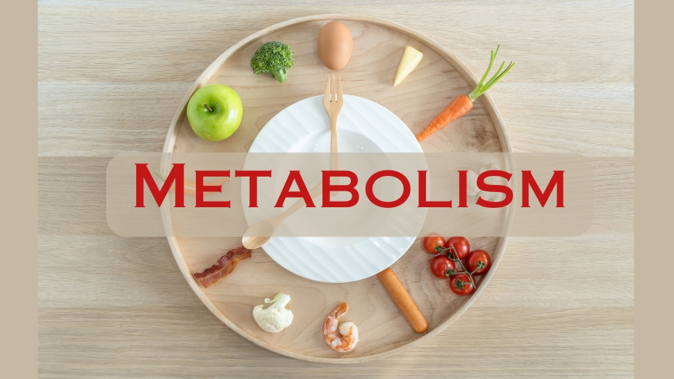 Weight Loss Tips: வெறும் 3 நிமிடங்கள் இதை செய்தால் போதும்... வளர்சிதை மாற்றம் 350 மடங்கு அதிகரிக்கும் Weight Loss Tips: வெறும் 3 நிமிடங்கள் இதை செய்தால் போதும்... வளர்சிதை மாற்றம் 350 மடங்கு அதிகரிக்கும்