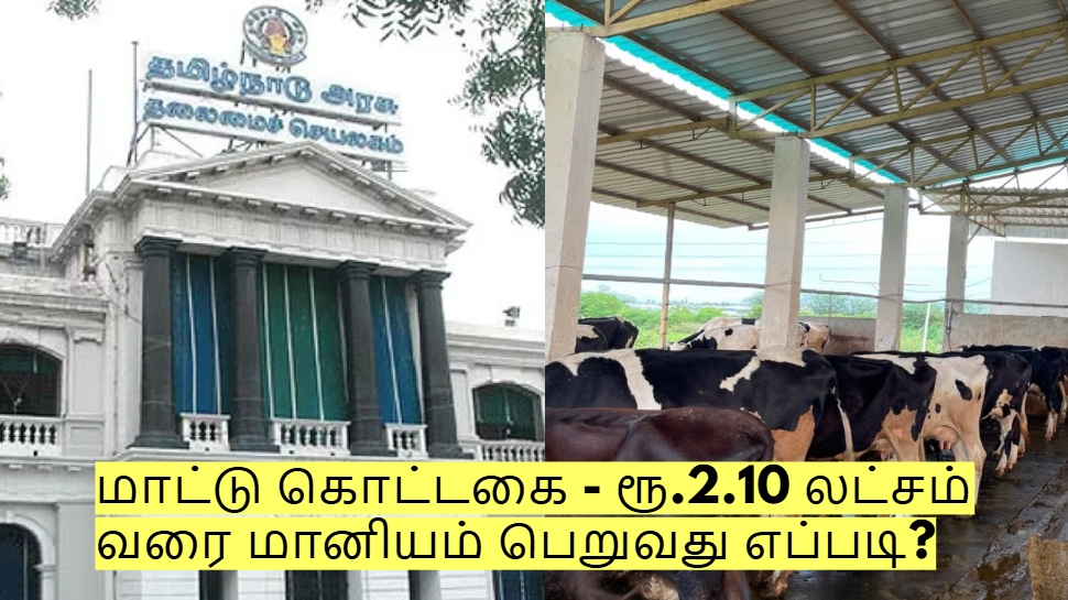 தமிழக அரசின் இலவச மாட்டு கொட்டகை - ரூ.2.10 லட்சம் வரை மானியம் பெறுவது எப்படி? தமிழக அரசின் இலவச மாட்டு கொட்டகை - ரூ.2.10 லட்சம் வரை மானியம் பெறுவது எப்படி?