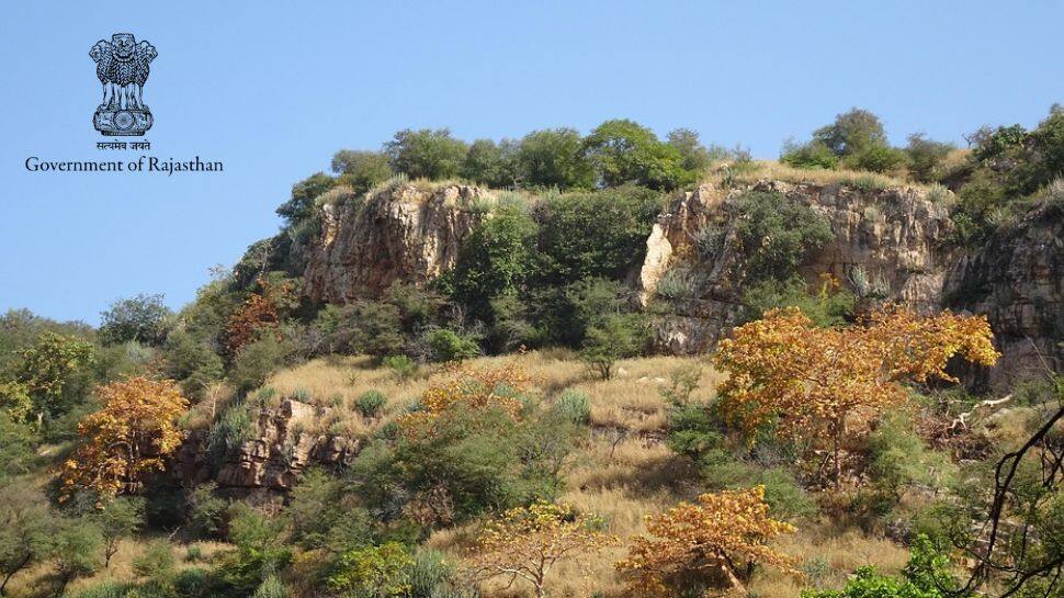 ஆரவல்லி மலைபகுதிக்கு ரூ.250 கோடியில் பசுமை திட்டம்!