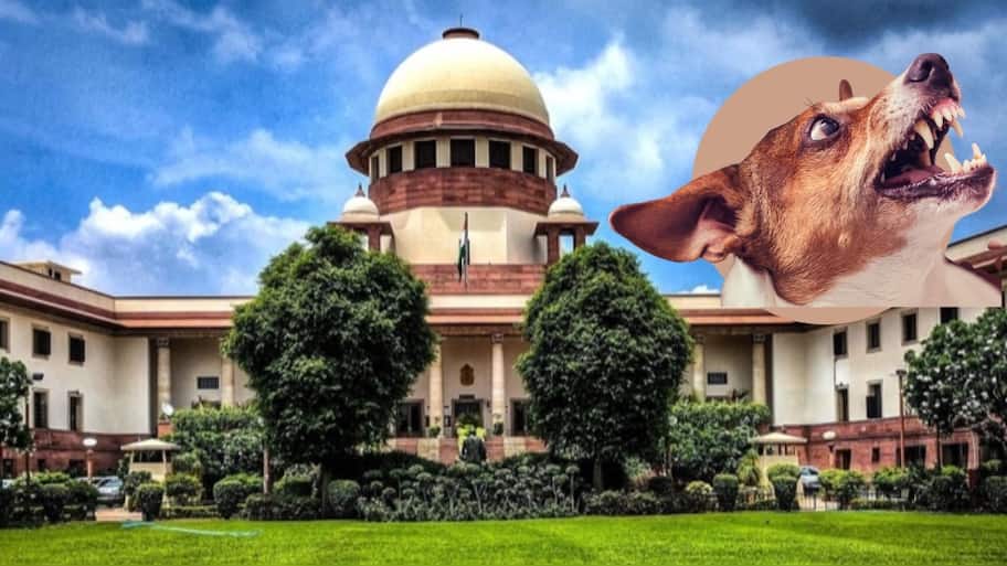 தெருநாய் பிரச்சனையினால் வாடுபவர்களுக்கு நற்செய்தி...  உச்ச நீதிமன்றம் அதிரடி உத்தரவு