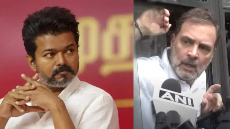 ராகுல் காந்தி கைது: உடனே பொங்கிய விஜய்... சைலன்ட் மோடில் ஸ்டாலின்