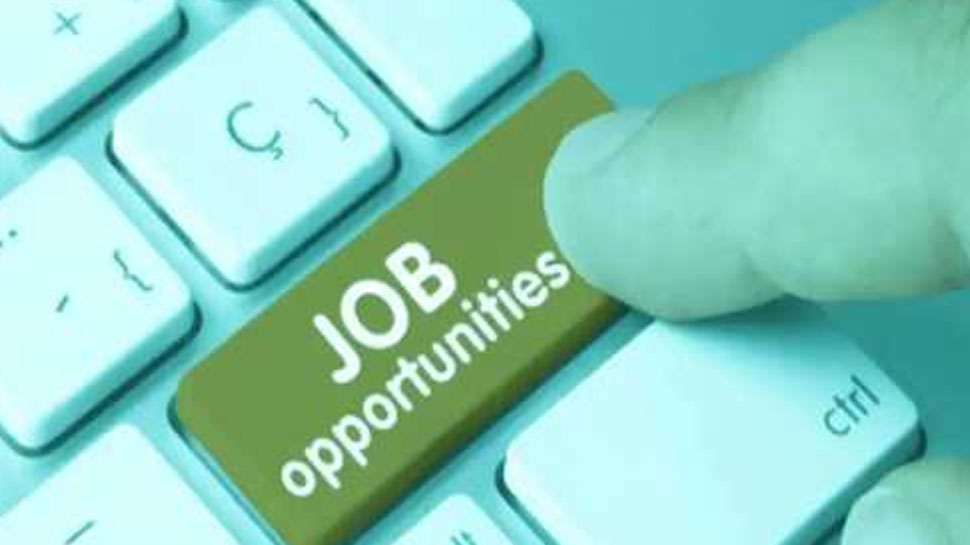 Top Government Jobs 2025: வேலைவாய்ப்பு.. டாப் அரசு நிறுவங்களில் வேலை, உடனே விண்ணப்பிக்கவும் Top Government Jobs 2025: வேலைவாய்ப்பு.. டாப் அரசு நிறுவங்களில் வேலை, உடனே விண்ணப்பிக்கவும்