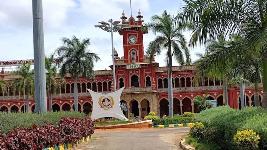 மாணவர்களுக்கு குட் நியூஸ்! டிப்ளோமா, இளங்கலை படிப்புக்கு உடனே விண்ணப்பிக்கவும்