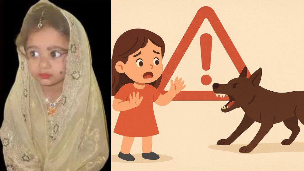 பெங்களூரில் 4 வயது சிறுமி நாய் கடித்து சிகிச்சை பலனின்றி உயிரிழப்பு! இதுதான் காரணமா?