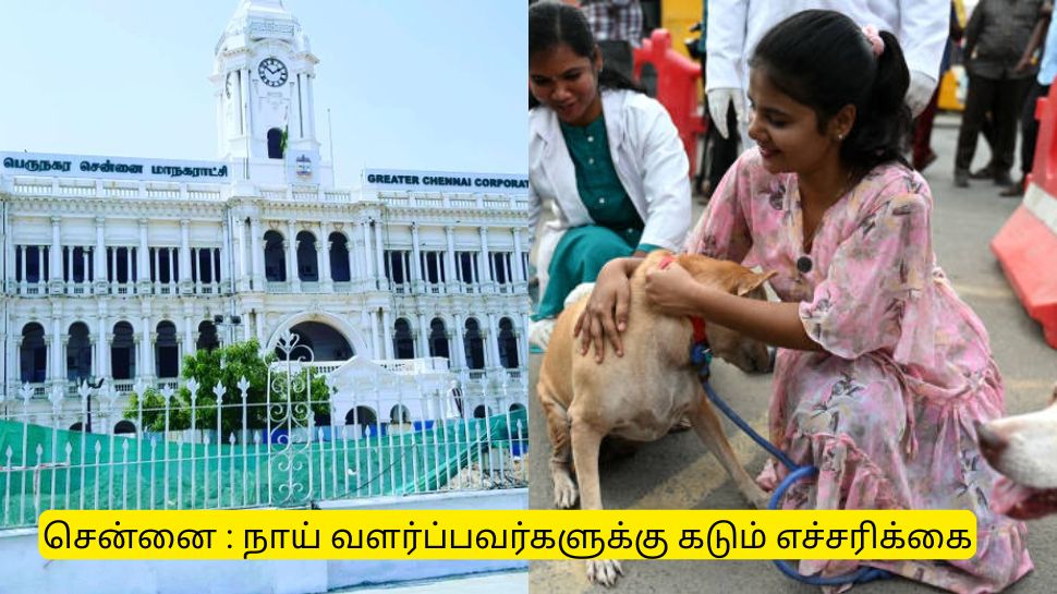 சென்னையில் நாய் வளர்ப்பவர்களுக்கு மாநகராட்சி வெளியிட்ட கடும் எச்சரிக்கை சென்னையில் நாய் வளர்ப்பவர்களுக்கு மாநகராட்சி வெளியிட்ட கடும் எச்சரிக்கை