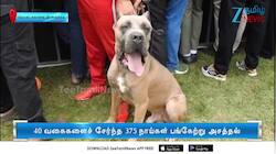 அகில இந்திய அளவில் நாய்கள் கண்காட்சி..! அசத்திய 375 நாய்கள்..!