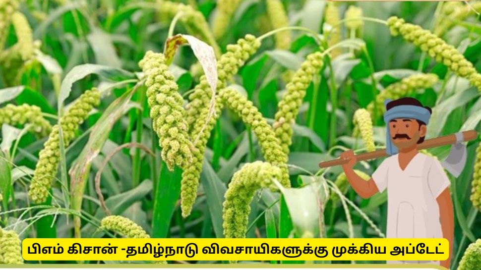 பிஎம் கிசான் தவணை தொகை : தமிழ்நாடு விவசாயிகளுக்கான முக்கிய அறிவிப்பு பிஎம் கிசான் தவணை தொகை : தமிழ்நாடு விவசாயிகளுக்கான முக்கிய அறிவிப்பு
