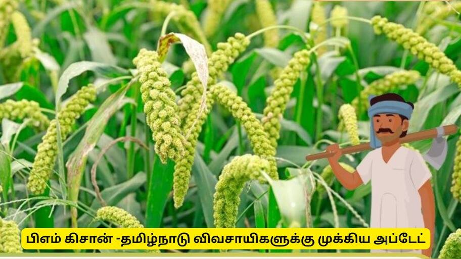 பிஎம் கிசான் தவணை தொகை : தமிழ்நாடு விவசாயிகளுக்கான  முக்கிய அறிவிப்பு