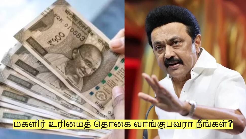 மகளிர் உரிமைத் தொகை வாங்குபவரா நீங்கள்? இந்த விஷத்தை தெரிஞ்சுக்கோங்க! மகளிர் உரிமைத் தொகை வாங்குபவரா நீங்கள்? இந்த விஷத்தை தெரிஞ்சுக்கோங்க!
