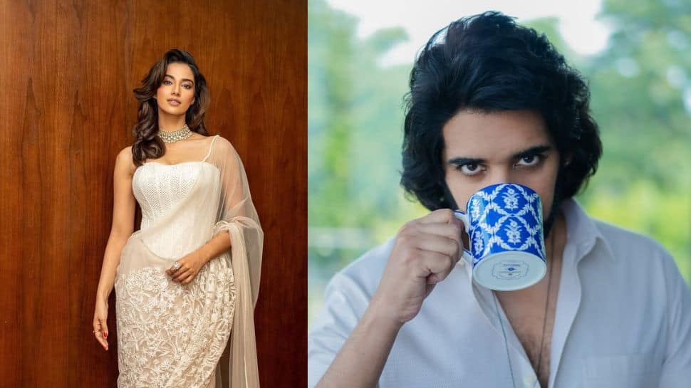 மீனாட்சி செளத்ரியின் சீக்ரெட் காதலர் இவரா? அட..பிரபலமான நடிகராச்சே!