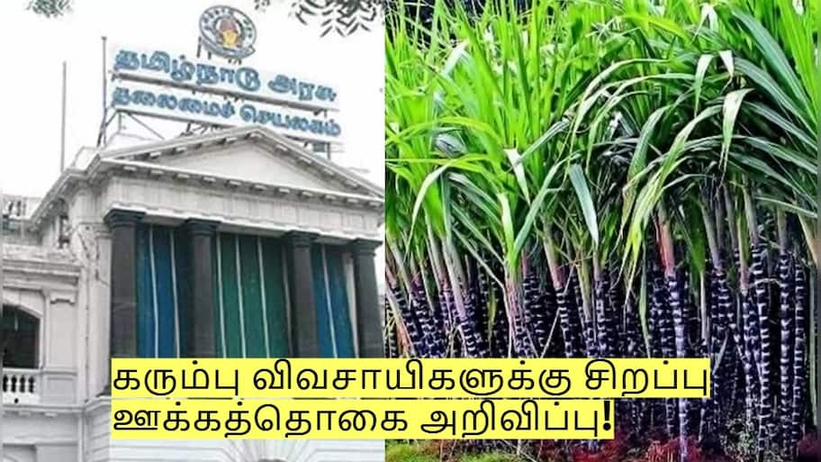 கரும்பு விவசாயிகளுக்கு சிறப்பு ஊக்கத்தொகை அறிவிப்பு! எப்படி பெறுவது?