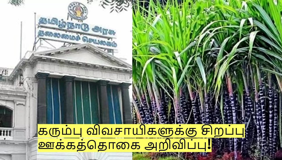 கரும்பு விவசாயிகளுக்கு சிறப்பு ஊக்கத்தொகை அறிவிப்பு! எப்படி பெறுவது? கரும்பு விவசாயிகளுக்கு சிறப்பு ஊக்கத்தொகை அறிவிப்பு! எப்படி பெறுவது?