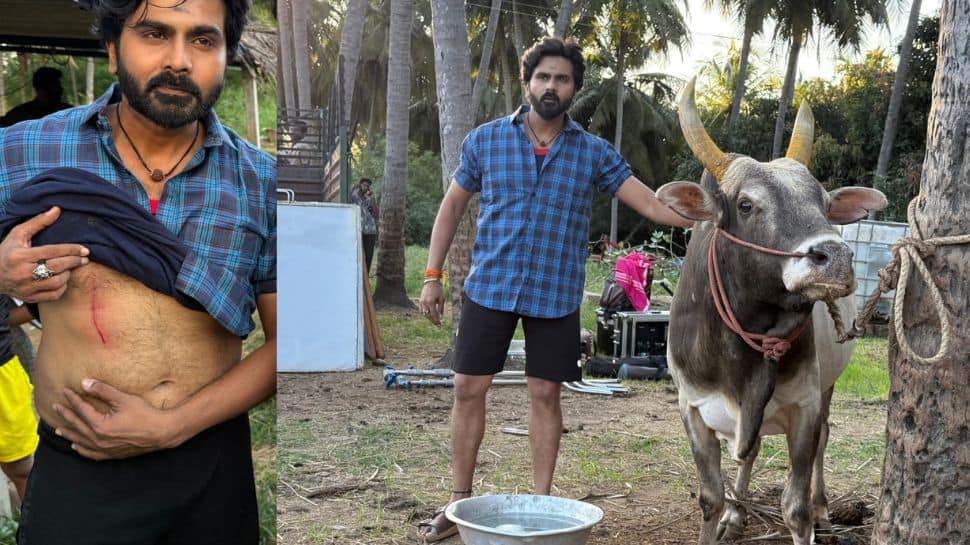 சீறிப்பாய்ந்த காளை, சிதறி விழுந்த ஹீரோ; படப்பிடிப்பில் பரபரப்பு!