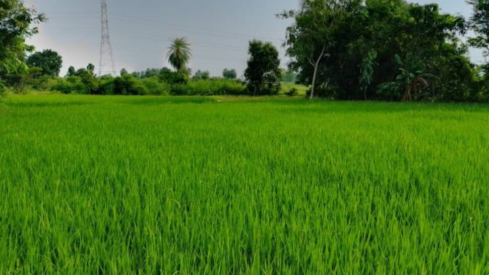 தமிழ்நாடு அரசு திட்டங்கள்