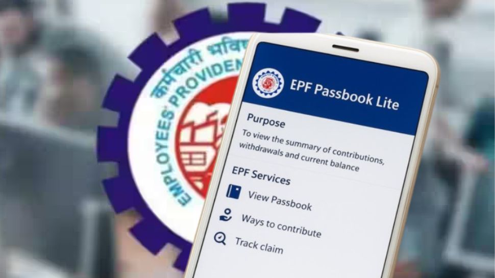 EPFO Passbook Lite: ஒரே கிளிக்கில் அனைத்தையும் பார்க்கலாம்.... PF உறுப்பினர்களுக்கு புதிய அம்சம் EPFO Passbook Lite: ஒரே கிளிக்கில் அனைத்தையும் பார்க்கலாம்.... PF உறுப்பினர்களுக்கு புதிய அம்சம்