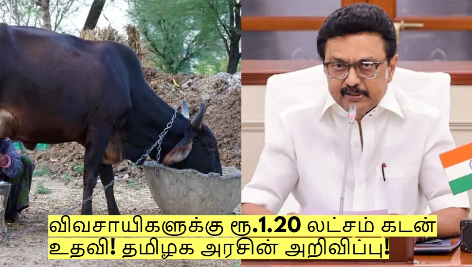 விவசாயிகளுக்கு ரூ.1.20 லட்சம் கடன் உதவி! தமிழக அரசின் அசத்தல் அறிவிப்பு! விவசாயிகளுக்கு ரூ.1.20 லட்சம் கடன் உதவி! தமிழக அரசின் அசத்தல் அறிவிப்பு!