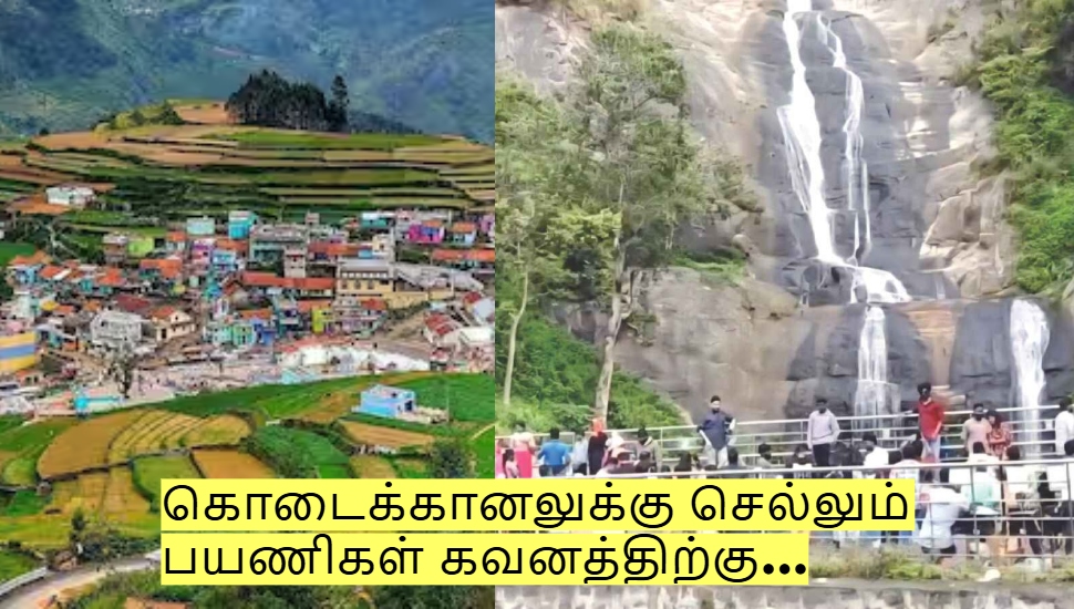 கொடைக்கானலுக்கு செல்லும் பயணிகள் கவனத்திற்கு... இனி புது ரூல்ஸ்? கொடைக்கானலுக்கு செல்லும் பயணிகள் கவனத்திற்கு... இனி புது ரூல்ஸ்?