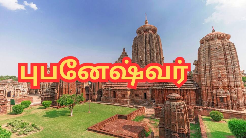 மகளிர் பாதுகாப்பு