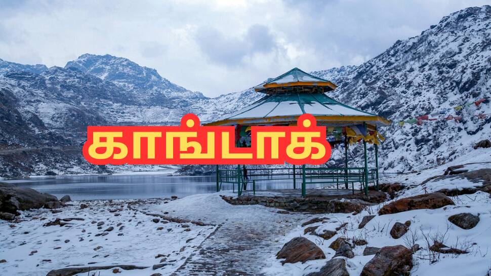 மகளிர் பாதுகாப்பு