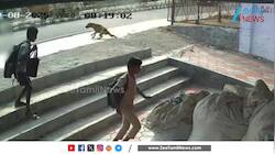 நாயால் விபரீதம்... கீழே விழுந்து படுகாயம்