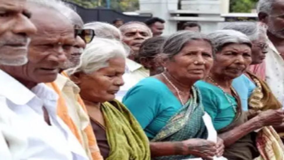 ஆயுள் சான்றிதழ்: இந்த தேதி தாண்டினால் பென்ஷன் கிடைக்காது.... DLC சமர்ப்பிக்கும் செயல்முறை இதோ ஆயுள் சான்றிதழ்: இந்த தேதி தாண்டினால் பென்ஷன் கிடைக்காது.... DLC சமர்ப்பிக்கும் செயல்முறை இதோ