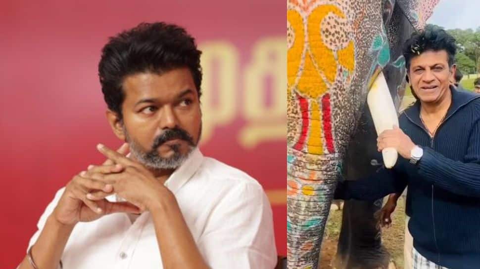 அரசியலை இப்படித்தான் கையாள வேண்டும்! விஜய்க்கு பிரபல நடிகர் அட்வைஸ்