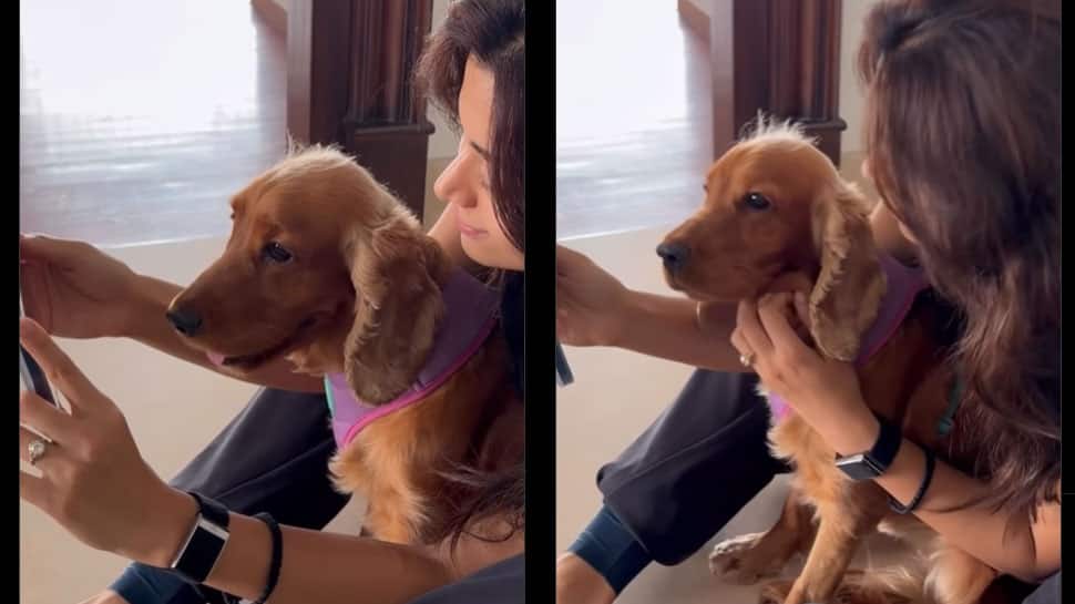 நிச்சயதார்த்தம் கிசுகிசுக்களுக்கு மத்தியில்...மோதிரத்தை வெளிப்படுத்திய ராஷ்மிகா?