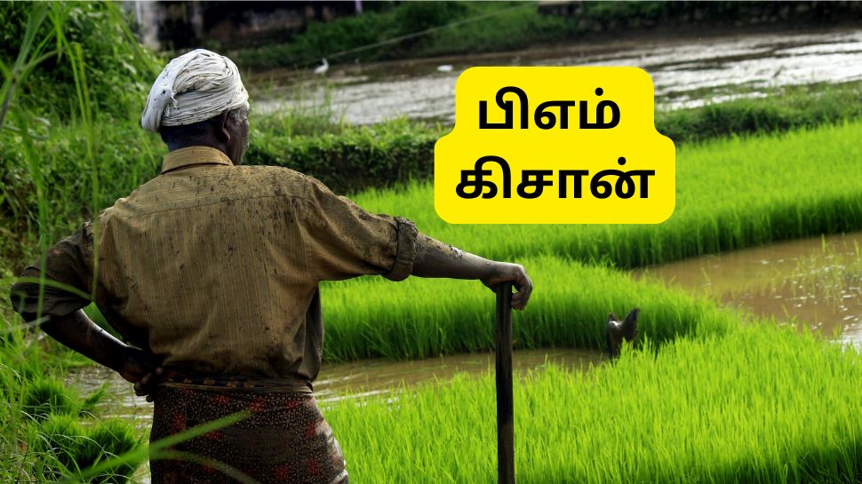 பிஎம் கிசான்: மோடி போட்ட திட்டத்தில் கேடித்தனம் செய்த பயனாளிகள்... ஜோடி ஜோடியாய் மோசடி பிஎம் கிசான்: மோடி போட்ட திட்டத்தில் கேடித்தனம் செய்த பயனாளிகள்... ஜோடி ஜோடியாய் மோசடி