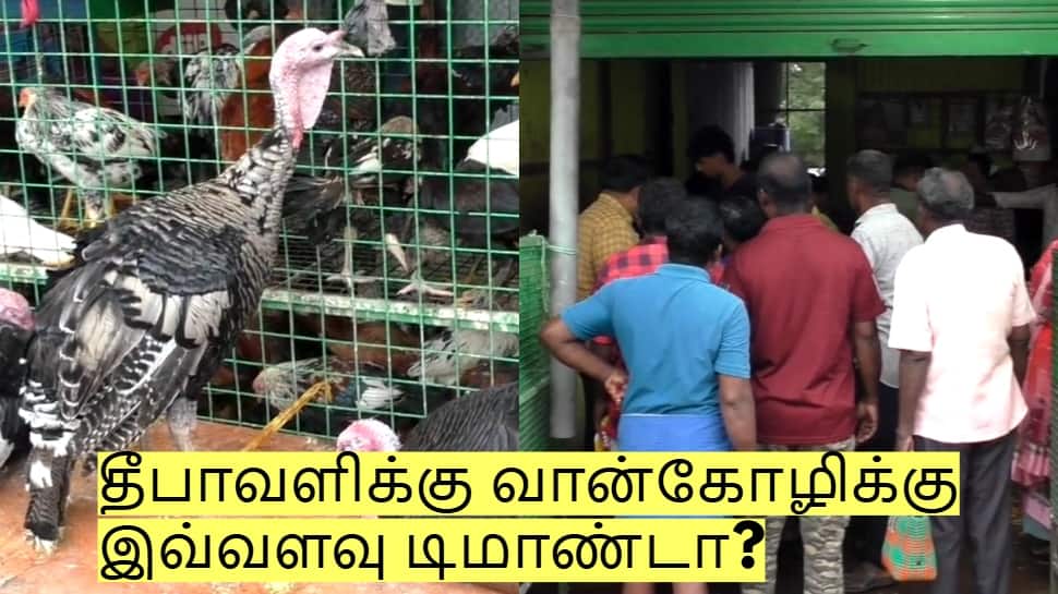 தீபாவளிக்கு வான்கோழிக்கு இவ்வளவு டிமாண்டா? ஒரு கிலோ எவ்வளவு?
