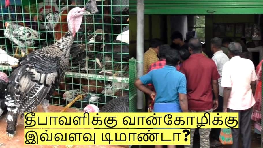 தீபாவளிக்கு வான்கோழிக்கு இவ்வளவு டிமாண்டா? ஒரு கிலோ எவ்வளவு?
