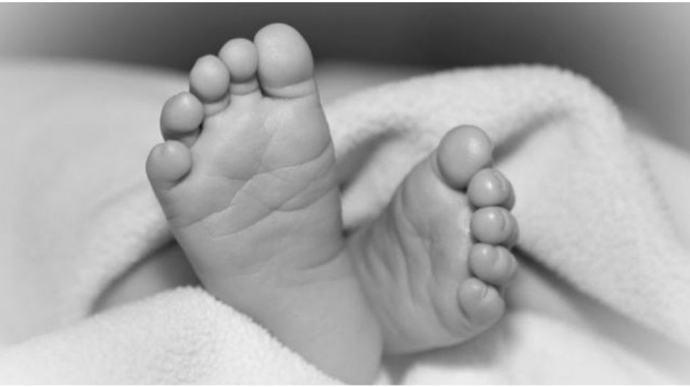 தண்ணீர் வாளியில் விழுந்து 1½ வயது சிறுவன் உயிரிழப்பு.. நெல்லையில் துயர சம்பவம்! தண்ணீர் வாளியில் விழுந்து 1½ வயது சிறுவன் உயிரிழப்பு.. நெல்லையில் துயர சம்பவம்!