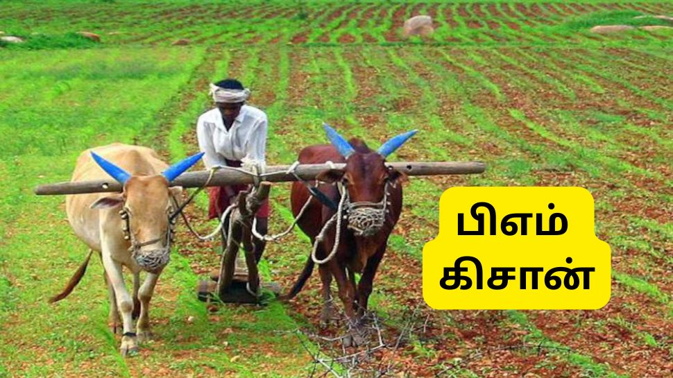 PM Kisan 21வது தவணை: 3 நிபந்தனைகள் முக்கியம், மீறினால் பெயர் நீக்கம்.... மத்திய அரசு எச்சரிக்கை PM Kisan 21வது தவணை: 3 நிபந்தனைகள் முக்கியம், மீறினால் பெயர் நீக்கம்.... மத்திய அரசு எச்சரிக்கை