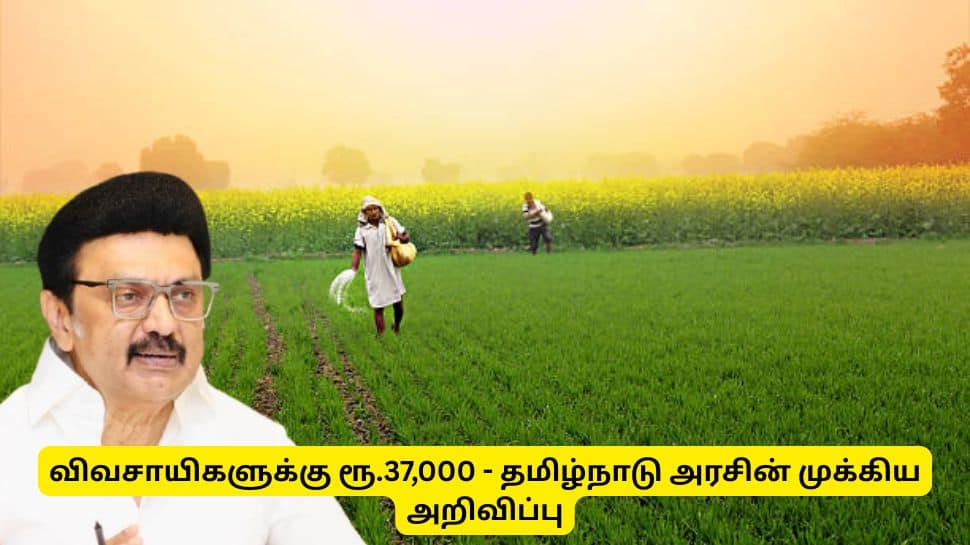 விவசாயிகளுக்கான பயிர்க் காப்பீடு: ஏக்கருக்கு ரூ. 37,000 பெறுவது எப்படி?