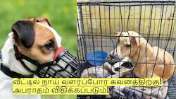 வீட்டில் நாய் வளர்ப்போர் கவனத்திற்கு! தமிழக அரசின் முக்கிய அறிவிப்பு! 