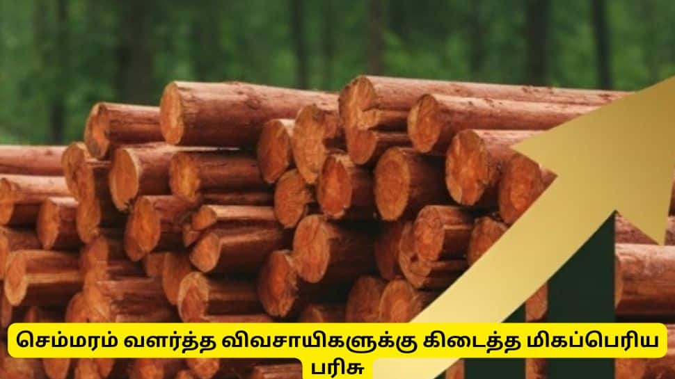 செம்மரம் வளர்த்த தமிழக விவசாயிகளுக்கு ஜாக்பாட்! - ரூ. 55 லட்சம் பரிமாற்றம்!