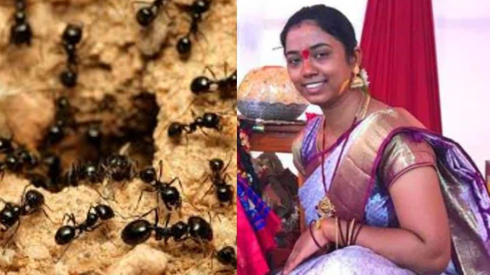 எறும்பால் உயிரிழந்த பெண்.. வித்தியாசமான நோயால் தவிப்பு... இதுபற்றி தெரியுமா?