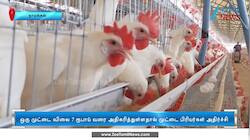 அதிர்ச்சியடையச் செய்யும் முட்டை விலை!