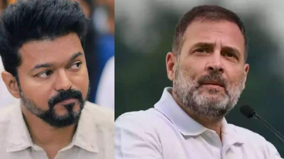 காங்கிரஸுடன் கூட்டணியா.. ராகுலுடன் பேசிய விஜய்? - சிடி நிர்மல் குமார் பதில்!