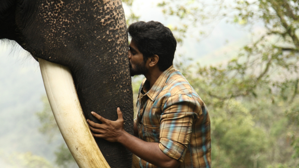 முதல் பாகத்தின் மேஜிக்கை மீண்டும் நிகழ்த்தியதா கும்கி 2? எப்படி இருந்தது? முதல் பாகத்தின் மேஜிக்கை மீண்டும் நிகழ்த்தியதா கும்கி 2? எப்படி இருந்தது?