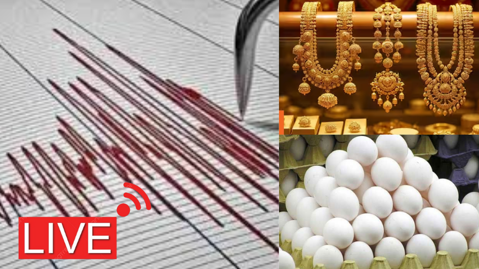 Live: கொல்கத்தாவில் நில அதிர்வு; தங்கம் விலை குறைவு; முட்டை விலை உயர்வு - அப்டேட்ஸ் Live: கொல்கத்தாவில் நில அதிர்வு; தங்கம் விலை குறைவு; முட்டை விலை உயர்வு - அப்டேட்ஸ்