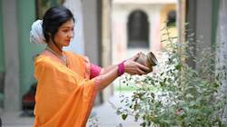 கடன் பிரச்னை தீரும்! துளசி செடியை வழிபடும்போது இந்த தவறை பண்ணாதீங்க!