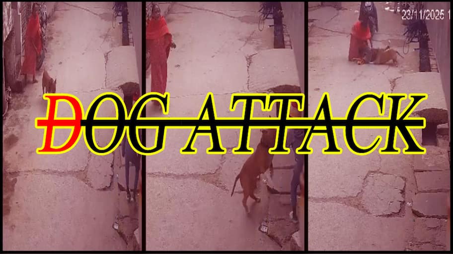 டெல்லியில் 6 வயது சிறுவன் மீது பிட்புல் நாய் கொடூரத் தாக்குதல்..காது துண்டானது!