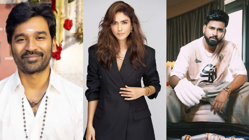 தனுஷா? ஸ்ரேயாஸா? மிருணாள் தாகூர் காதலிக்கும் நபர் யார்? அவரே சொன்ன விஷயம்..